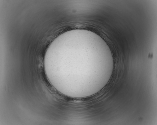 X0000111050651200906251121