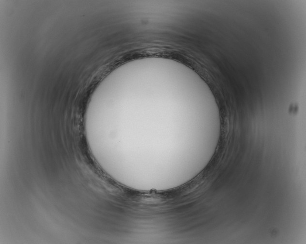 X0000111050653200906251121