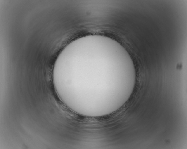 X0000111050658200906251121