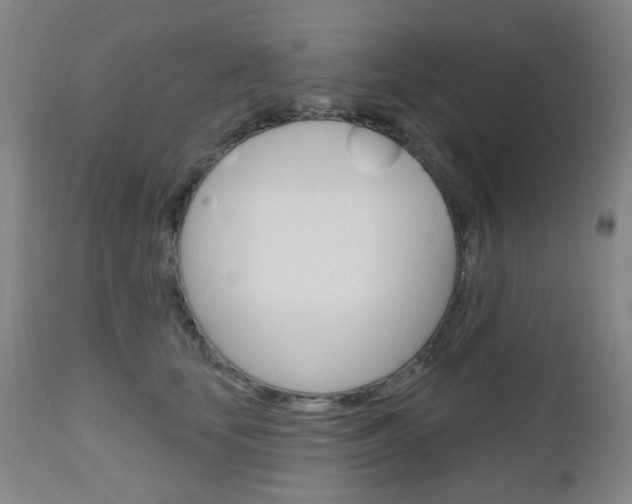 X0000111050659200906251121