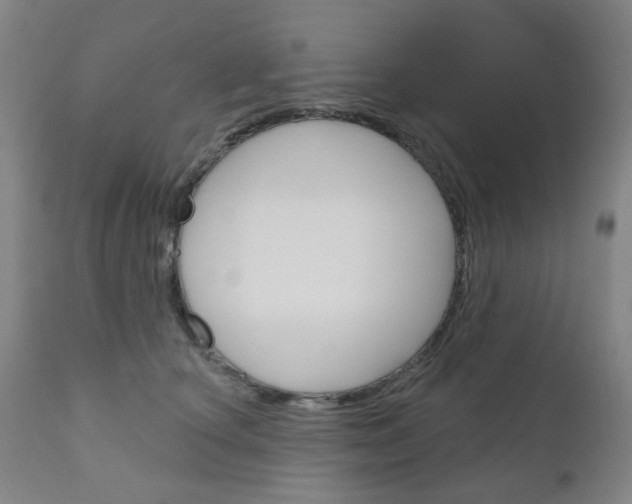 X0000111050660200906251121