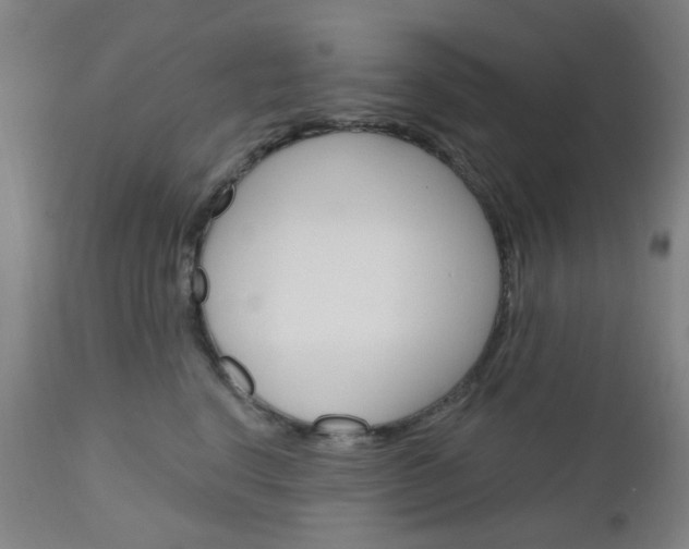 X0000111050664200906251121