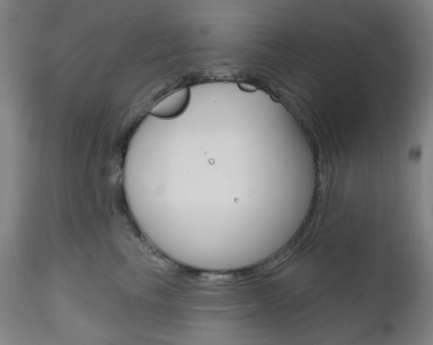 X0000111050665200906251121