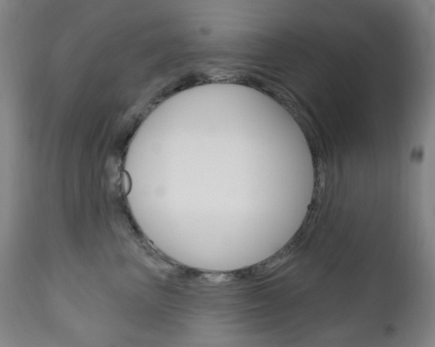 X0000111050667200906251121