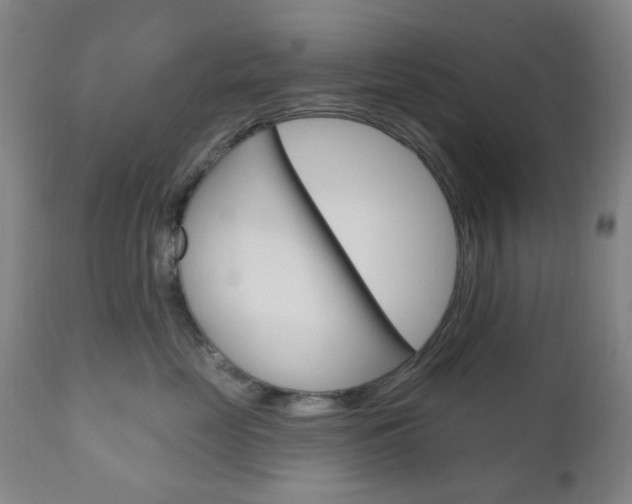 X0000111050669200906251121