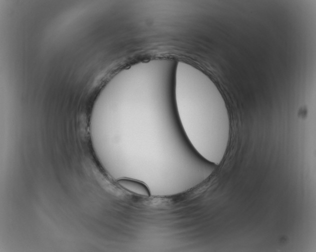 X0000111050670200906251121