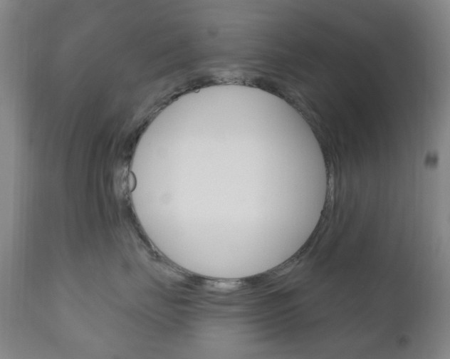 X0000111050671200906251121
