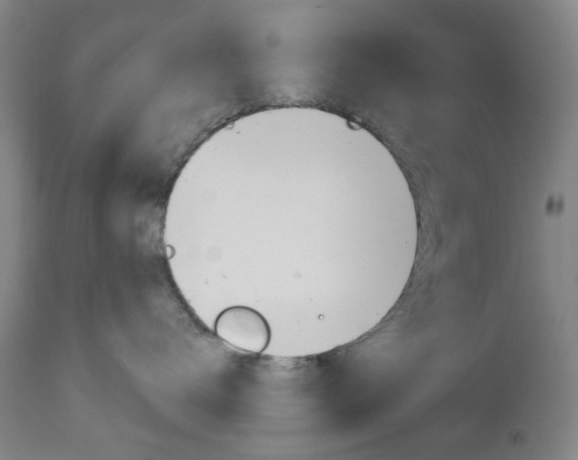 X0000111050672200906251121