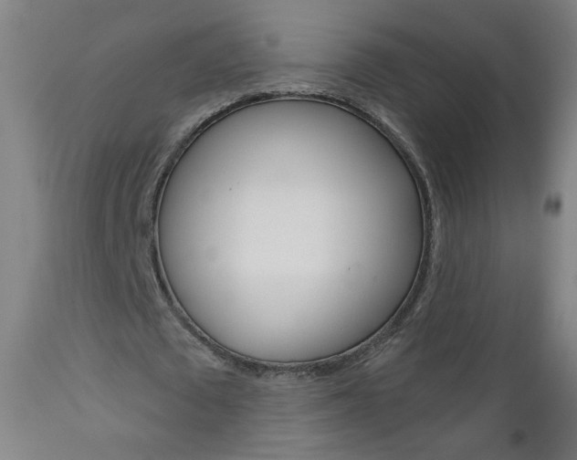 X0000111050673200906251120