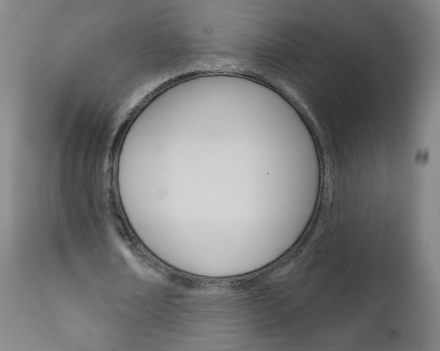 X0000111050674200906251120
