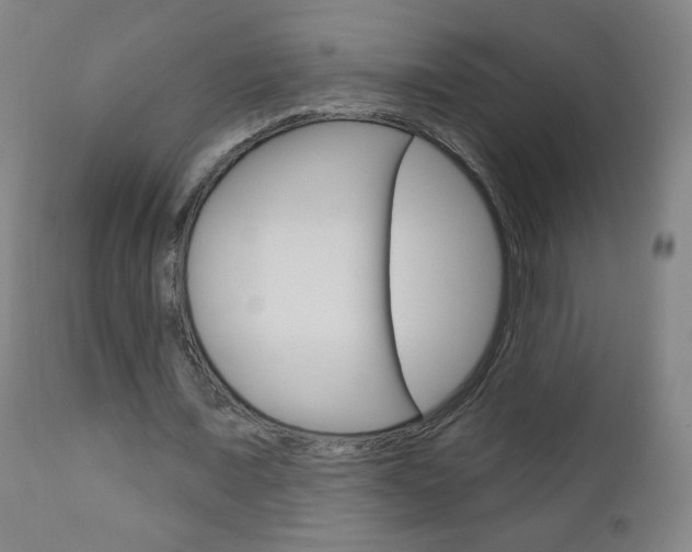 X0000111050675200906251120