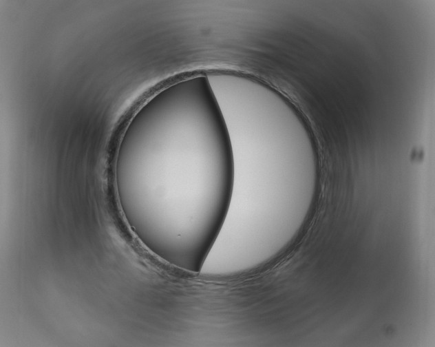 X0000111050676200906251120