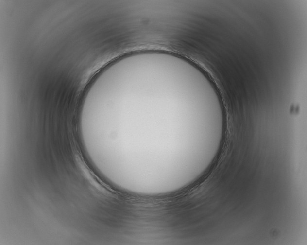 X0000111050677200906251120