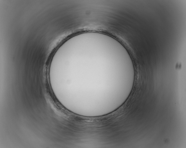 X0000111050678200906251120