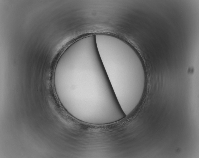 X0000111050679200906251120