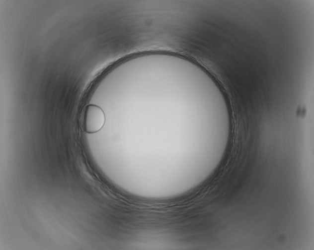 X0000111050680200906251120