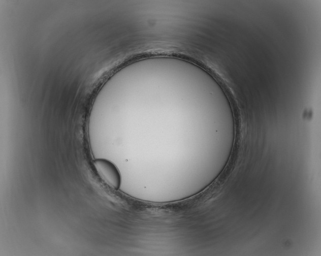 X0000111050681200906251120