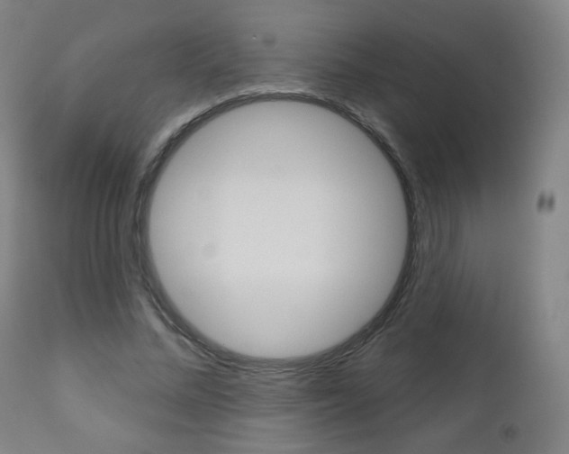 X0000111050684200906251120