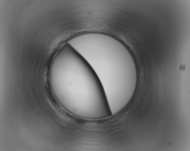 X0000111050685200906251120
