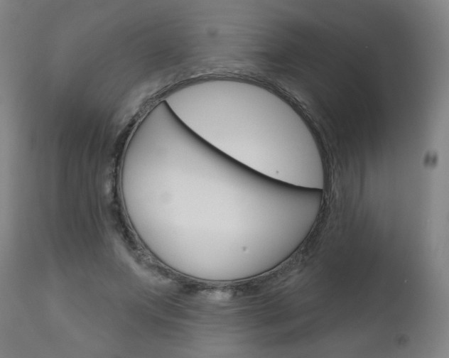 X0000111050687200906251120