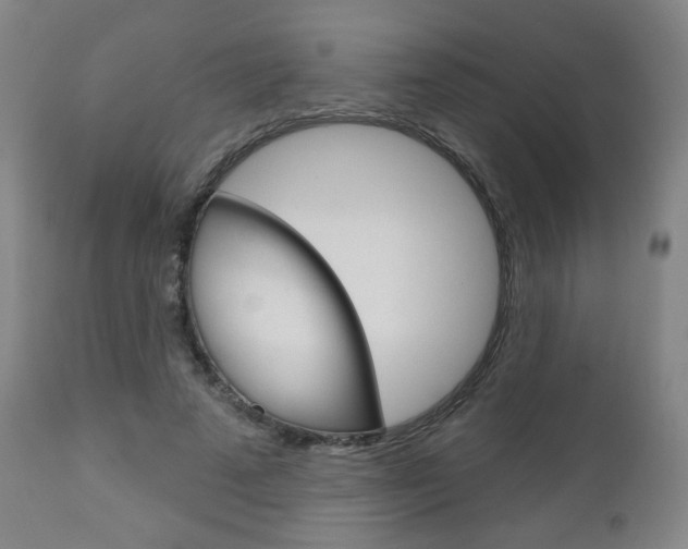 X0000111050689200906251120