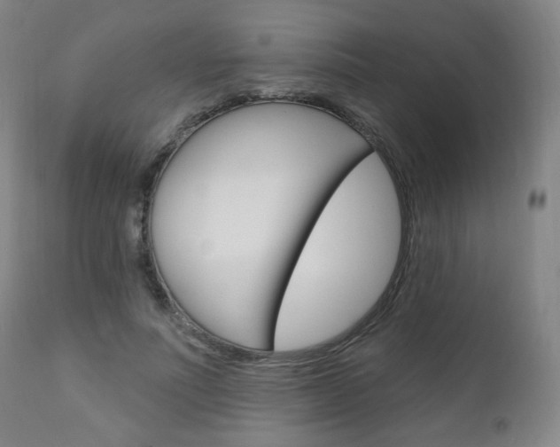 X0000111050691200906251120