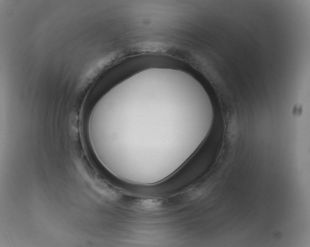 X0000111050692200906251120