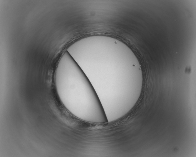 X0000111050695200906251120