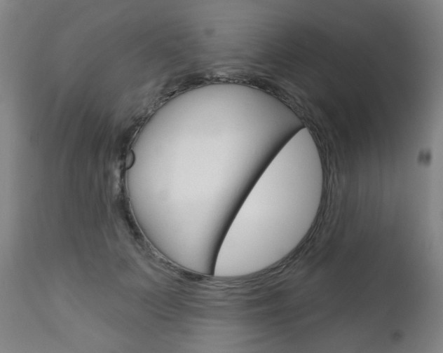X0000111050703200906251120