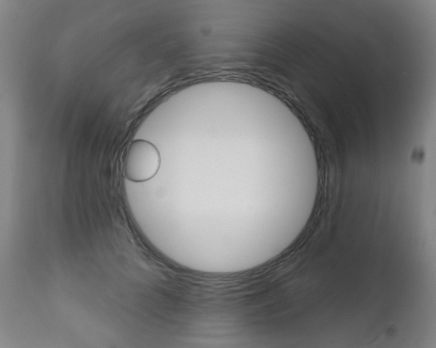 X0000111050704200906251120