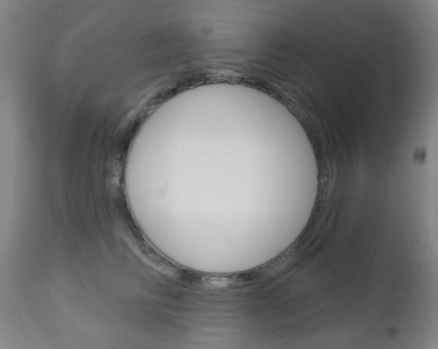 X0000111050710200906251120