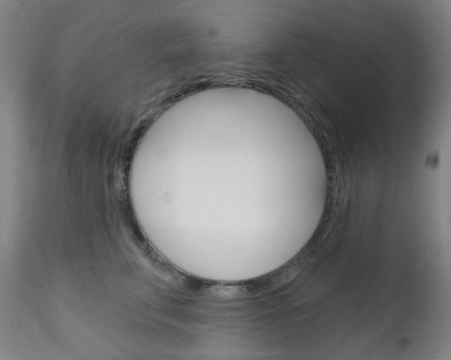 X0000111050711200906251120