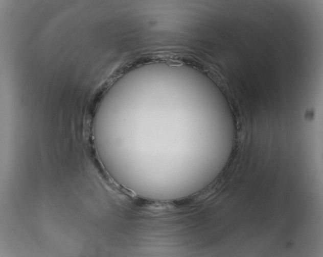 X0000111050712200906251120