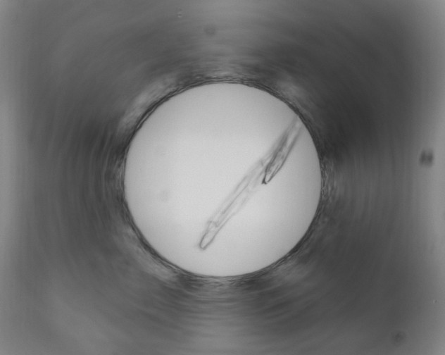 X0000111050717200906251120