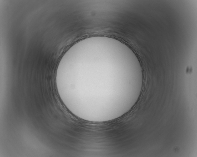 X0000111050720200906251120