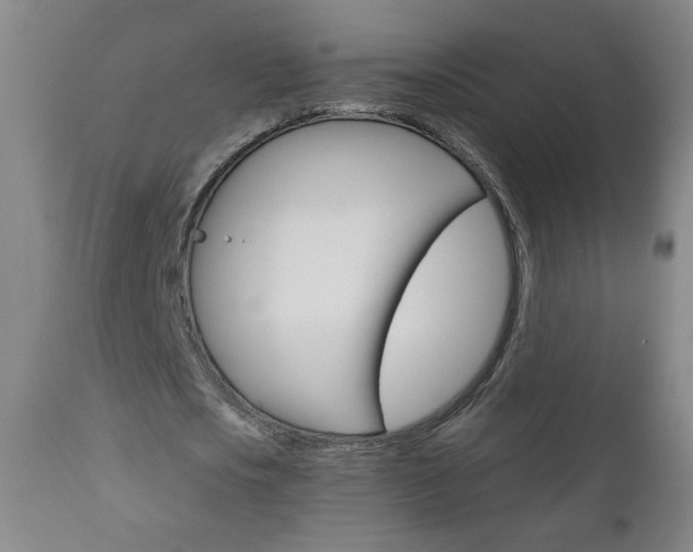 X0000111050721200906251119