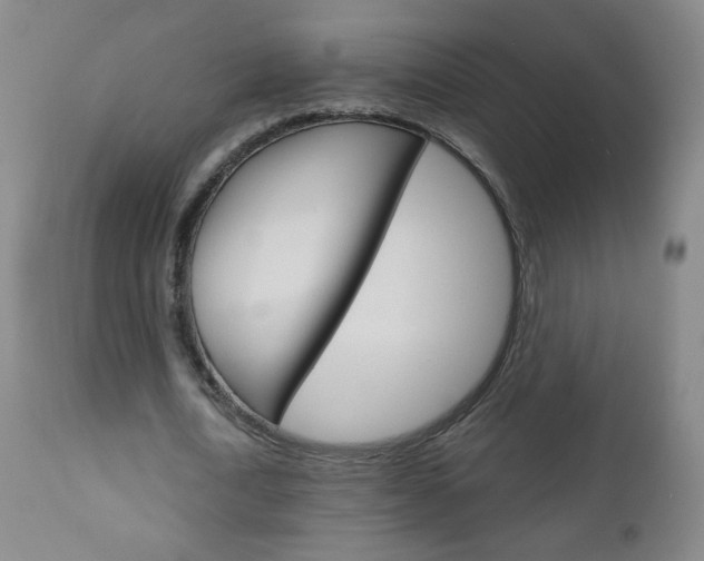 X0000111050722200906251119