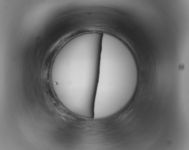 X0000111050723200906251119