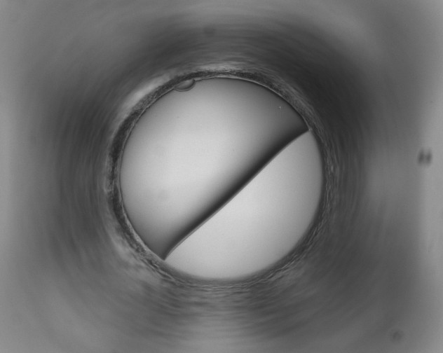 X0000111050724200906251119