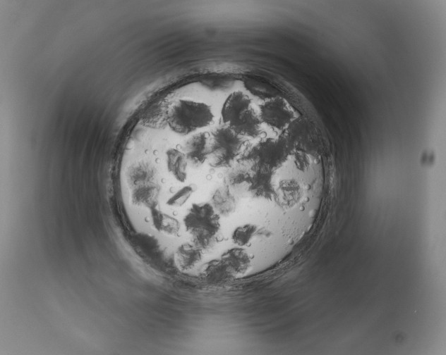 X0000111050725200906251119