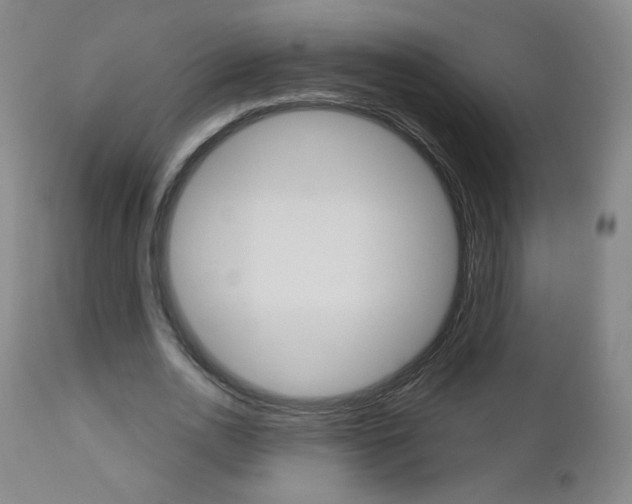 X0000111050726200906251119