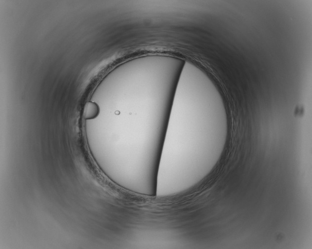 X0000111050727200906251119