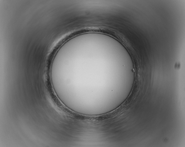 X0000111050728200906251119
