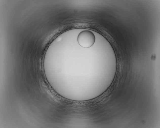 X0000111050729200906251119
