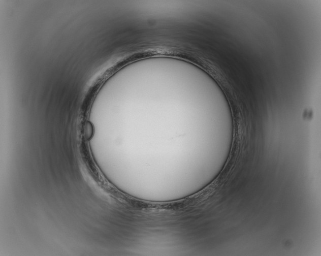 X0000111050730200906251119
