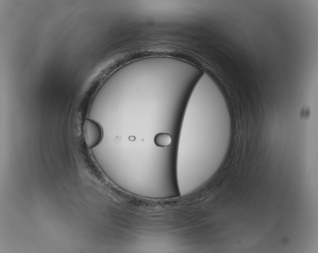 X0000111050731200906251119