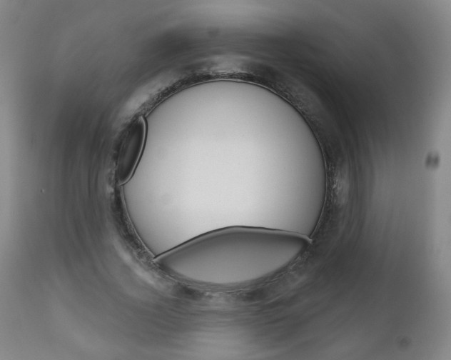 X0000111050732200906251119