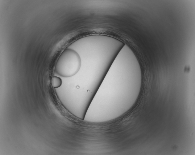 X0000111050734200906251119