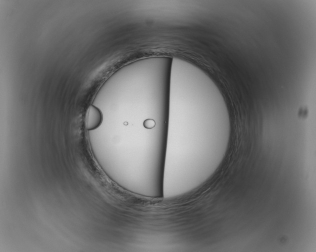 X0000111050735200906251119