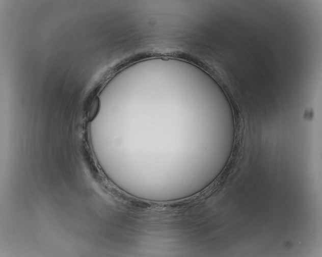 X0000111050736200906251119